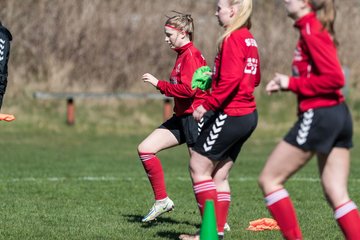 Bild 172 - F SG NieBar - IF Stjernen Flensborg : Ergebnis: 4:1